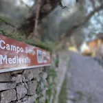 Madonna Dell'aiuto True View Olivo Appartement