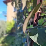 Madonna Dell'aiuto True View Olivo Brenzone sul Garda