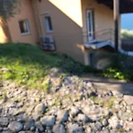 Madonna Dell'aiuto True View Olivo Brenzone sul Garda