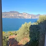Madonna Dell'aiuto True View Olivo