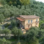 Madonna Dell'aiuto True View Olivo