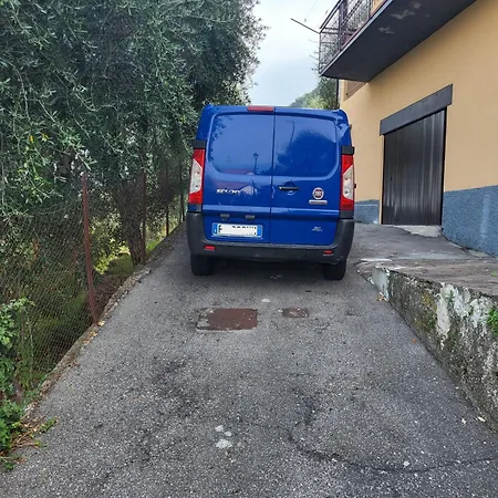 Madonna Dell'aiuto True View Olivo *