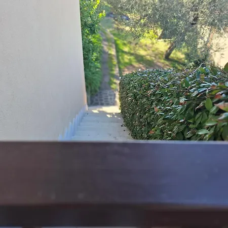 Appartement Madonna Dell'aiuto True View Olivo *