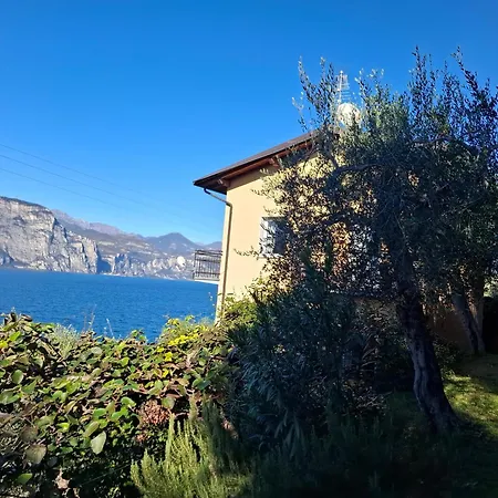 Madonna Dell'aiuto True View Olivo Apartamento *