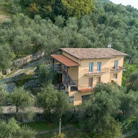 Madonna Dell'aiuto True View Olivo