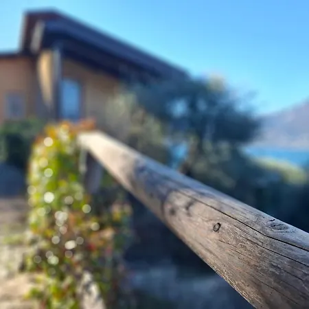 Madonna Dell'aiuto True View Olivo Brenzone sul Garda