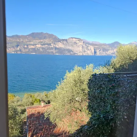 Madonna Dell'aiuto True View Olivo